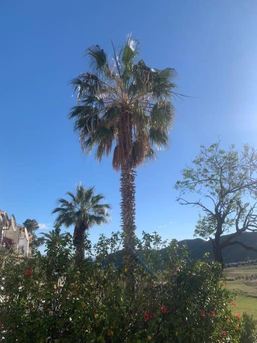 Cervantes 3 Mojacar Turre Zewnętrze zdjęcie
